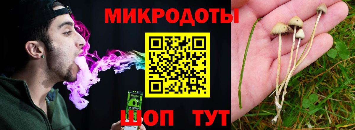 Галлюциногенные грибы ЛСД Моздок